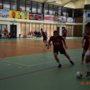 blhpn 8 5